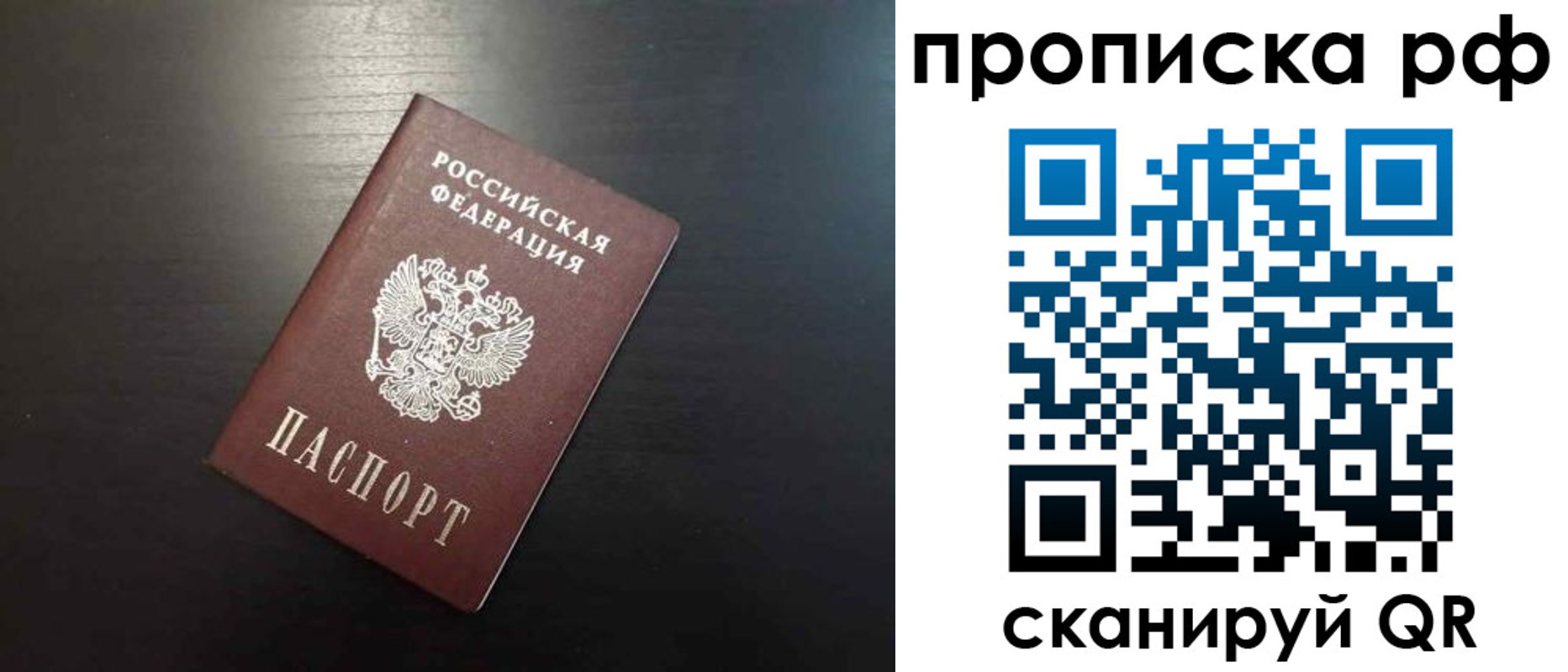 временная регистрация 2025 в Елизово
