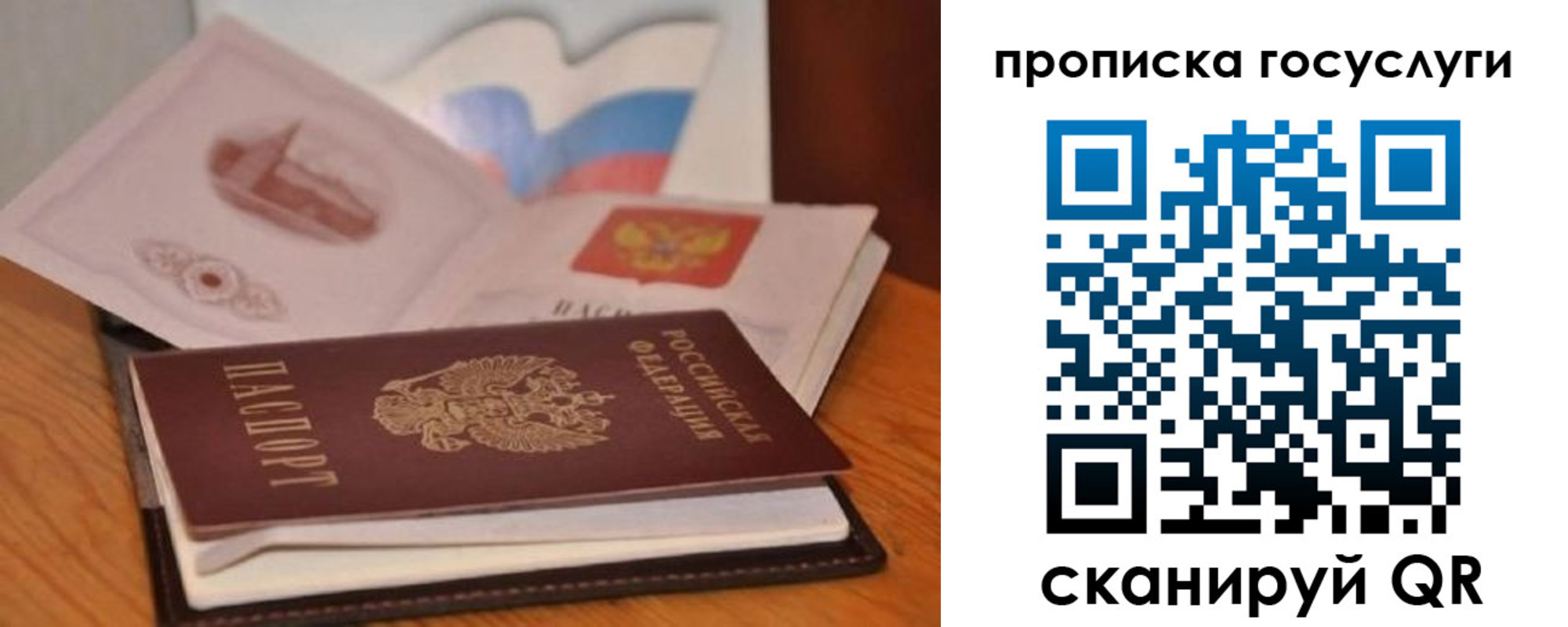 прописка в квартире в Елизово